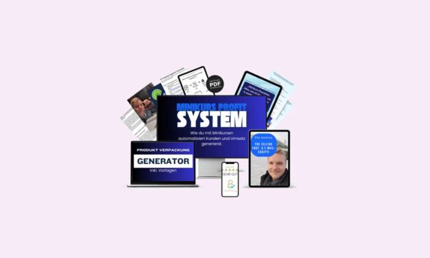 MiniKurs Profit System Erfahrungen – Mit kleinen Kursen Geld verdienen?