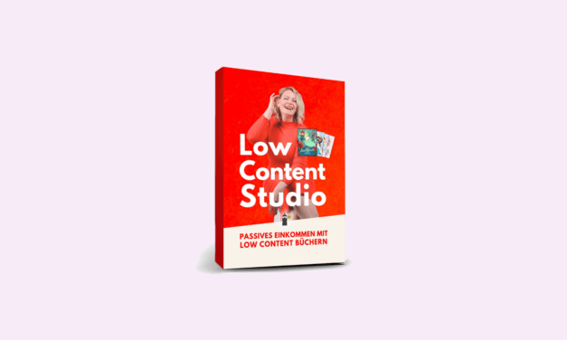 Low Content Studio Erfahrungen – Lohnt sich der Kurs?